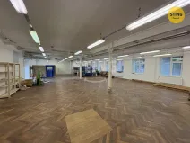 Pronájem skladu, Prostějov, Havlíčkova, 298 m2