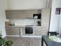 Pronájem bytu 2+kk, Slaný - Kvíček, U Benaru, 55 m2
