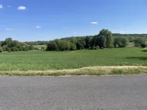 Prodej zahrady, Nová Ves, 2559 m2