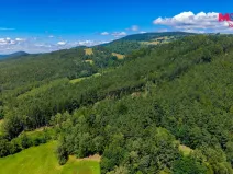Prodej lesa, Bílá, 57919 m2