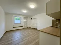 Pronájem obchodního prostoru, Ústí nad Labem - Krásné Březno, Podmokelská, 75 m2