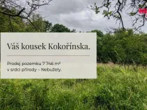 Prodej pole, Nebužely, 7746 m2