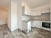 Prodej bytu 1+1, Ostrava, Lumírova, 38 m2