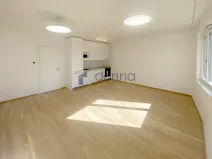 Pronájem bytu 1+kk, Praha, Na Viktorce, 39 m2