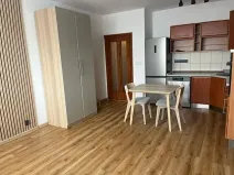 Pronájem bytu 1+kk, České Budějovice, Riegrova, 32 m2