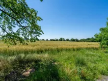 Prodej pozemku pro bydlení, Stěžery, Polní, 14692 m2