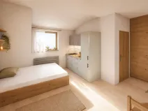 Prodej bytu 1+kk, Frymburk - Kovářov, 31 m2