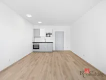 Pronájem bytu 1+kk, Plzeň - Jižní Předměstí, Železná, 33 m2