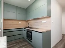 Prodej bytu 1+1, Opava, Zeyerova, 35 m2