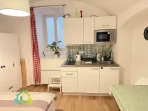 Pronájem bytu 1+kk, Praha - Nové Město, Washingtonova, 25 m2