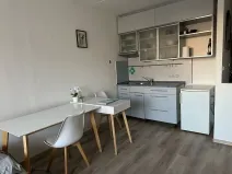 Pronájem bytu 1+kk, Hradec Králové, Hradecká, 30 m2