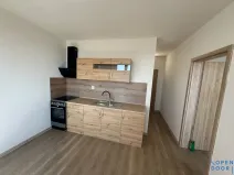 Pronájem bytu 1+1, Chomutov, Pod Břízami, 36 m2