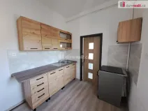 Pronájem bytu 1+1, Ústí nad Labem - Střekov, Mánesova, 25 m2
