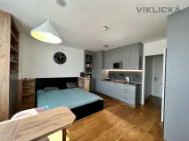Pronájem bytu 1+kk, Praha - Vinohrady, Perucká, 27 m2