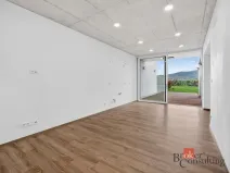 Prodej bytu 3+kk, Dolní Dunajovice, Rudé armády, 60 m2