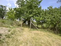 Prodej sadu/vinice, Bzenec, 2460 m2