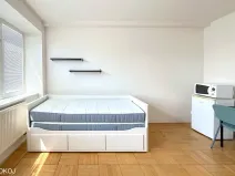 Pronájem bytu 1+kk, Brno, Mendlovo náměstí, 22 m2