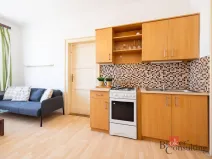 Prodej bytu 2+kk, Praha - Žižkov, Hartigova, 47 m2