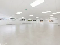 Pronájem obchodního prostoru, Opava, Rybářská, 160 m2