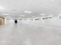 Pronájem obchodního prostoru, Opava, Rybářská, 160 m2