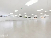 Pronájem obchodního prostoru, Opava, Rybářská, 160 m2