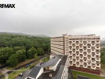 Prodej bytu 1+kk, Litvínov - Horní Litvínov, Koldům, 25 m2