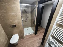 Pronájem bytu 1+kk, Olomouc - Nová Ulice, Třída Jiřího Pelikána, 33 m2
