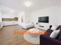 Pronájem bytu 1+kk, Karviná - Nové Město, Závodní, 29 m2