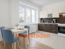 Pronájem bytu 1+kk, Karviná - Nové Město, Urxova, 31 m2