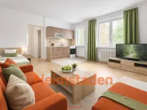 Pronájem bytu 1+kk, Karviná - Nové Město, Brožíkova, 28 m2