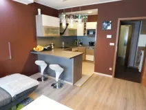 Pronájem bytu 2+kk, Plzeň - Černice, Vstupní, 53 m2