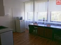 Pronájem bytu 1+kk, Olomouc, Wellnerova, 20 m2