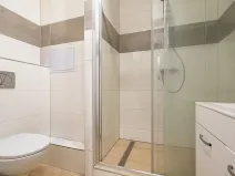 Prodej bytu 1+kk, České Budějovice, K. Chocholy, 30 m2