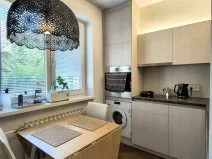 Pronájem bytu 1+1, Praha - Podolí, Podolská, 41 m2