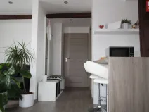 Pronájem bytu 1+kk, Olomouc - Hodolany, Za humny, 45 m2
