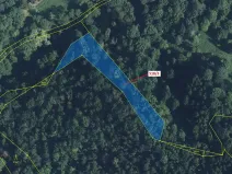 Dražba lesa, Malé Březno, 2232 m2