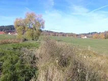 Dražba pole, Borovná, 1225 m2