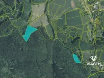 Prodej podílu lesa, Dešná, 1279 m2