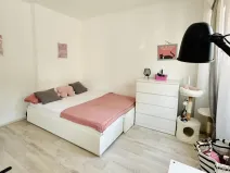 Pronájem bytu 1+kk, Brno, Veslařská, 22 m2