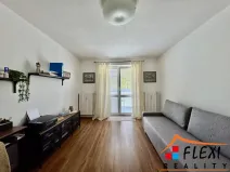 Pronájem bytu 1+1, Ostrava - Hrabůvka, Dvouletky, 41 m2