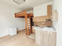 Pronájem bytu 1+kk, České Budějovice, Riegrova, 25 m2