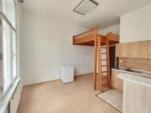 Pronájem bytu 1+kk, České Budějovice, Riegrova, 25 m2
