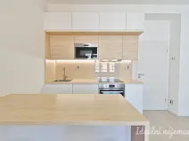 Pronájem bytu 1+kk, Brno, Přadlácká, 28 m2