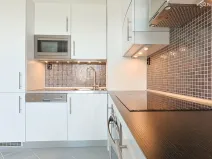 Pronájem bytu 3+kk, Brno, Jánošíkova, 76 m2