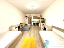 Pronájem bytu 1+kk, České Budějovice, M. Chlajna, 31 m2