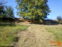 Prodej zahrady, Napajedla, 611 m2
