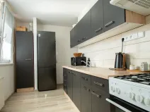 Prodej bytu 3+1, Hodonín, Očovská, 64 m2