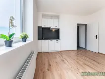 Pronájem bytu 1+kk, Praha - Břevnov, Na břevnovské pláni, 22 m2