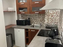 Pronájem bytu 2+1, Karlovy Vary, Libušina, 47 m2