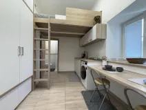 Pronájem bytu 1+kk, Opava - Předměstí, Alšova, 15 m2